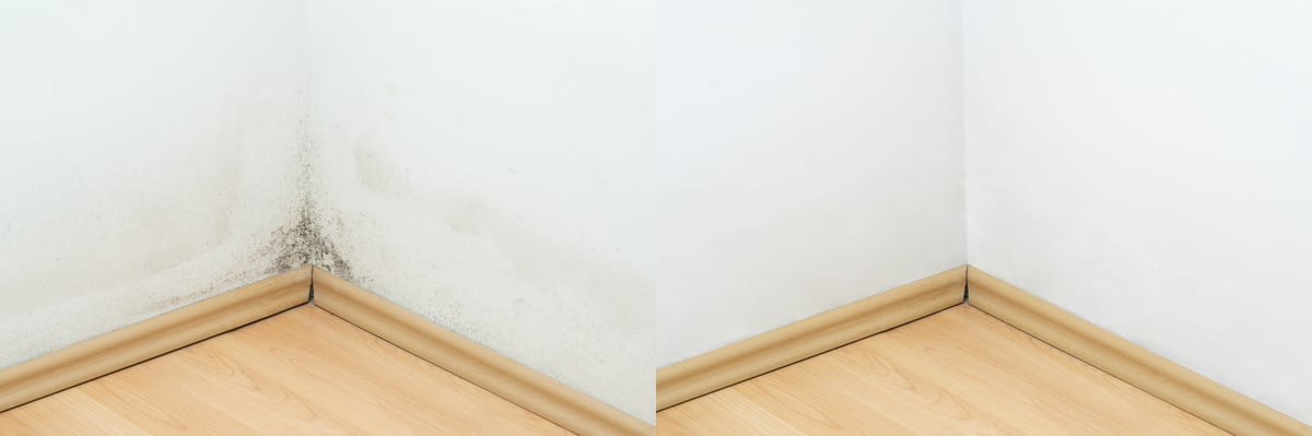 Mold in the corner of a wall before and after cleaning