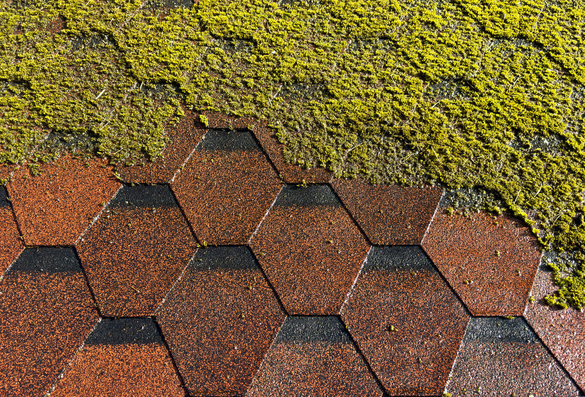 Tiles roof before and after cleaning